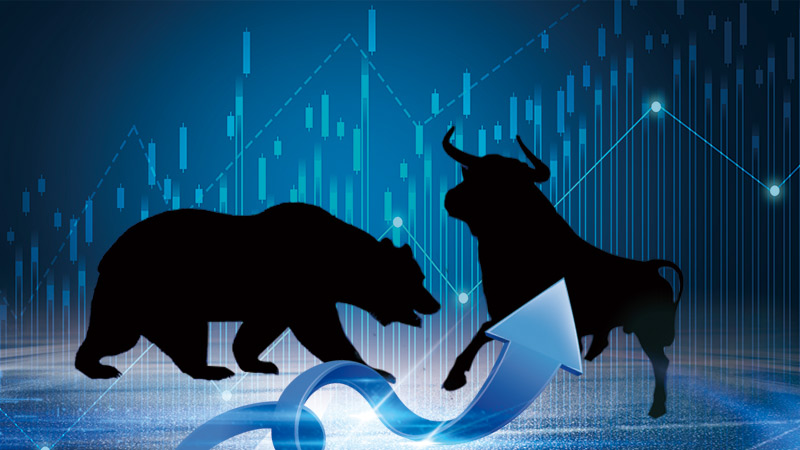 为什么牛市有的股票根本不涨？