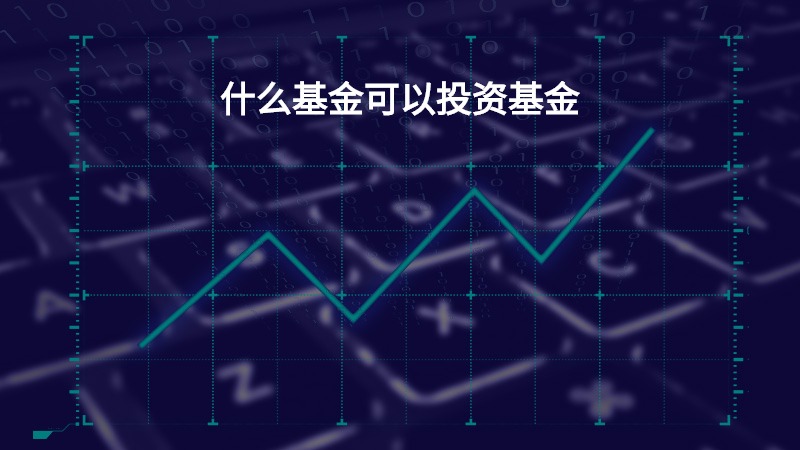 什么基金可以投资基金？