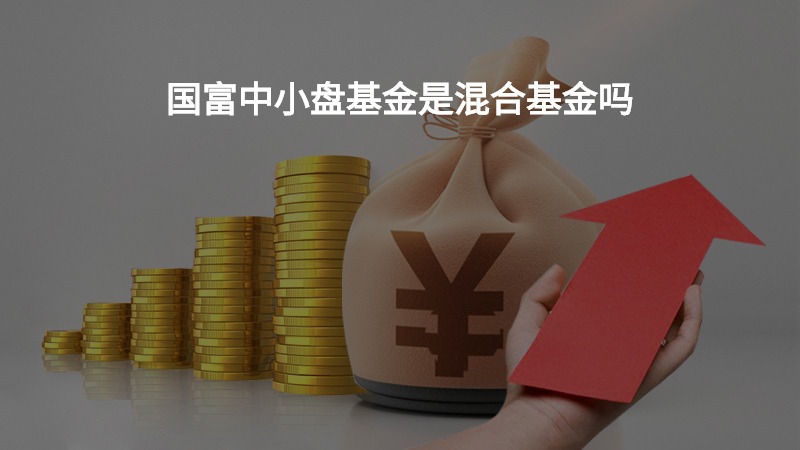 国富中小盘基金是混合基金吗？