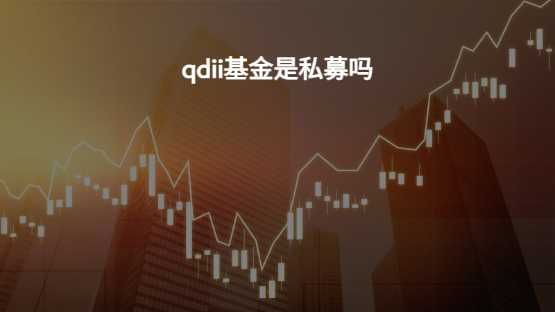 qdii基金是私募吗？