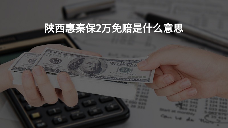 陕西惠秦保2万免赔是什么意思？