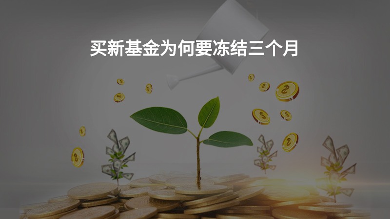 买新基金为何要冻结三个月？