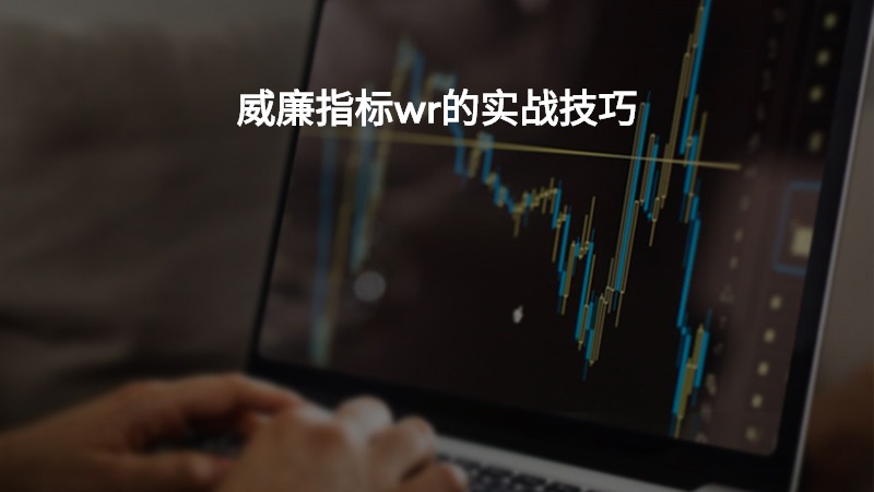 威廉指标wr的实战技巧？