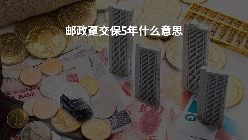 邮政趸交保5年什么意思？