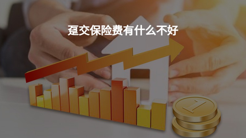 趸交保险费有什么不好？