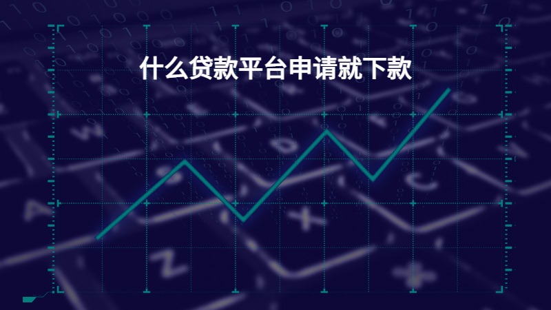 什么贷款平台申请就下款？