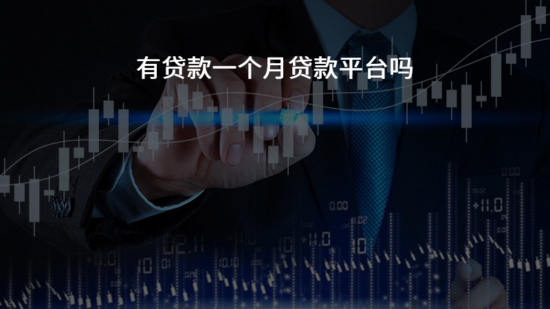 有贷款一个月贷款平台吗？