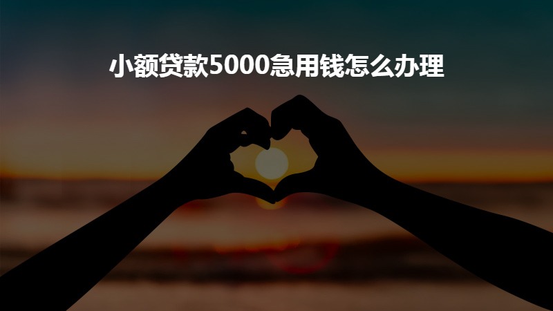小额贷款5000急用钱怎么办理？