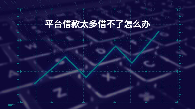 平台借款太多借不了怎么办？