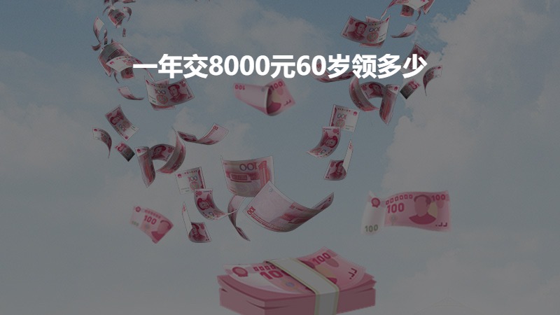 一年交8000元60岁领多少？