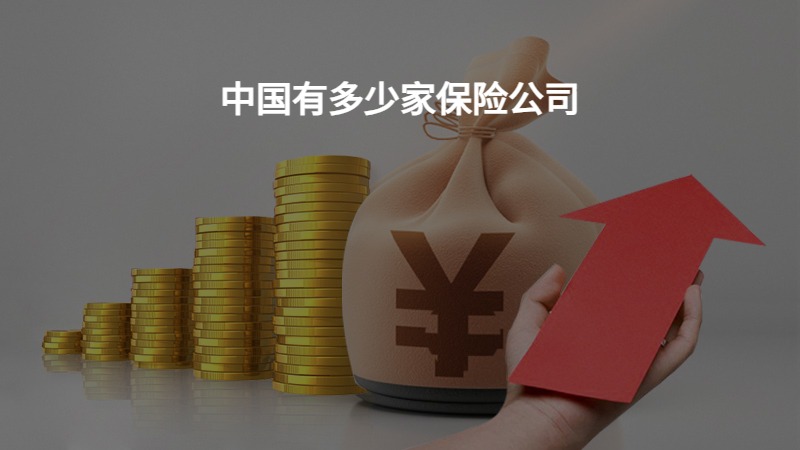​中国有多少家保险公司？