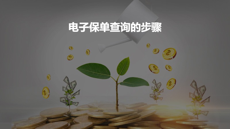 ​电子保单查询的步骤？
