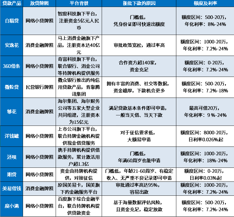 2024年能批下款的小额贷款新平台