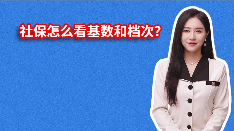 社保怎么看基数和档次？