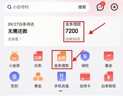 京东金条是什么意思