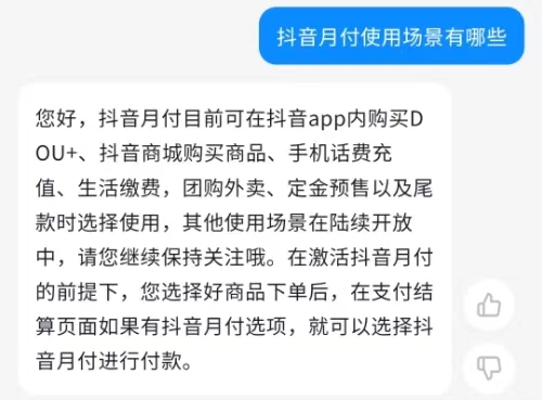 抖音月付什么意思