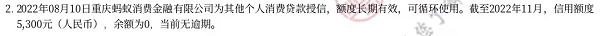 支付宝花呗备用金上征信显示什么