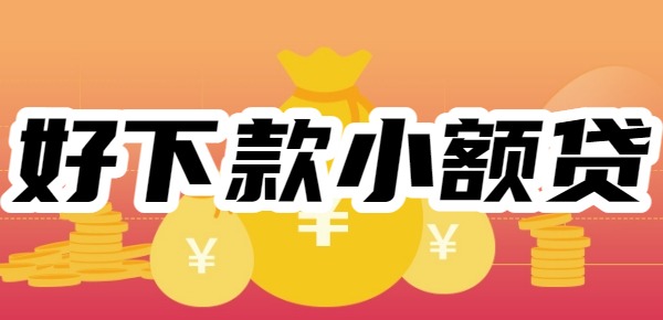 小额贷款平台哪个好下款