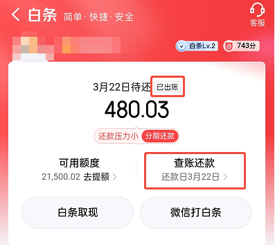 京东白条可以申请延期还款吗