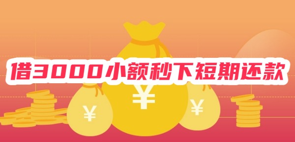 借3000小额秒下短期还款