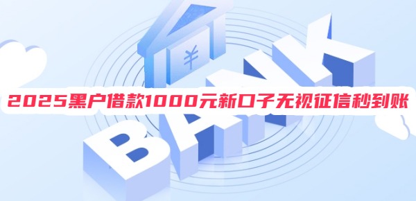 2025黑户借款1000元新口子无视征信秒到账
