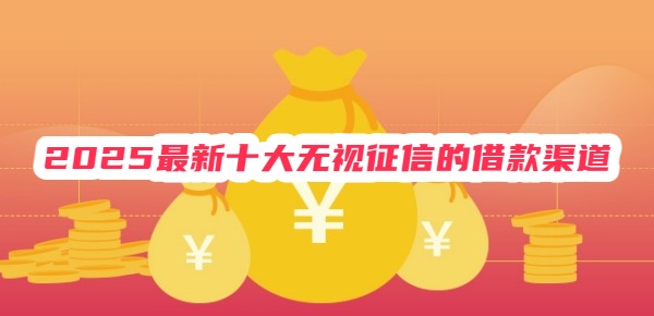 2025最新十大无视征信的借款渠道