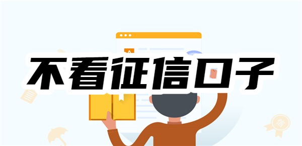 不看征信口子大公开