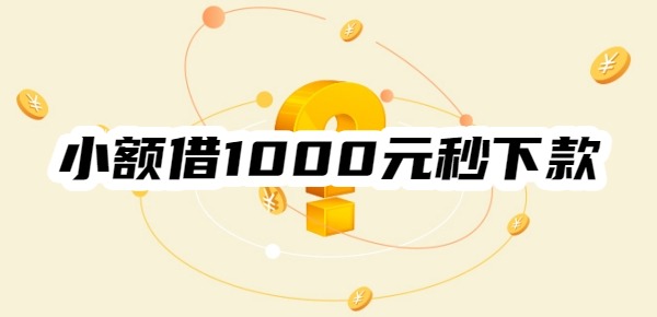 小额借1000元秒下款