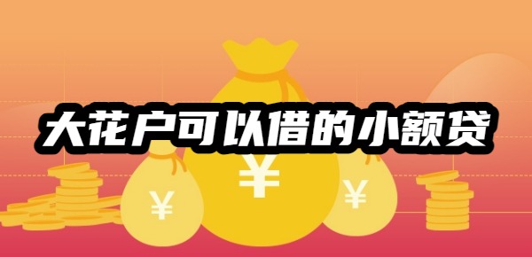 大花户可以借的小额贷