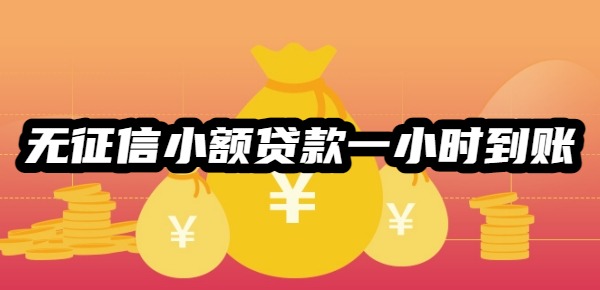 無征信小額貸款一小時(shí)到賬