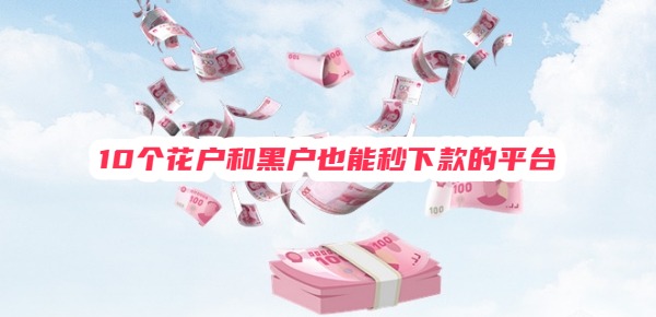 花户和黑户也能秒下款的平台