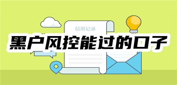 黑户风控能过的口子