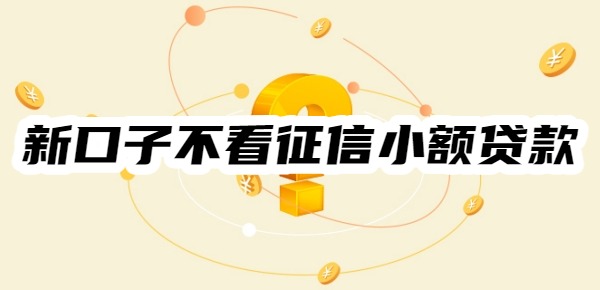 新口子不看征信小额贷款