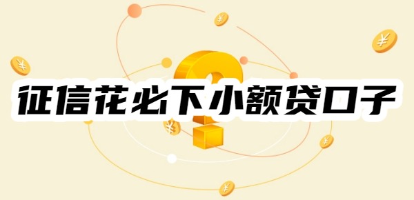 征信花必下小额贷口子