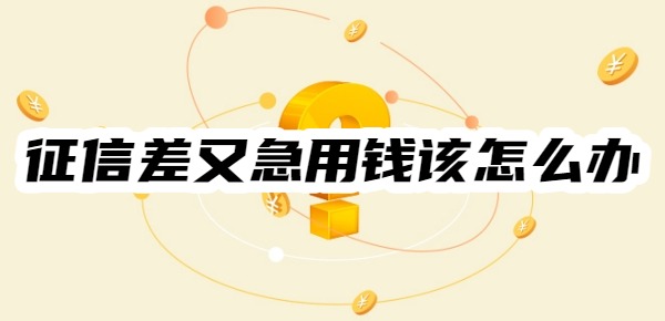 征信差又急用钱该怎么办
