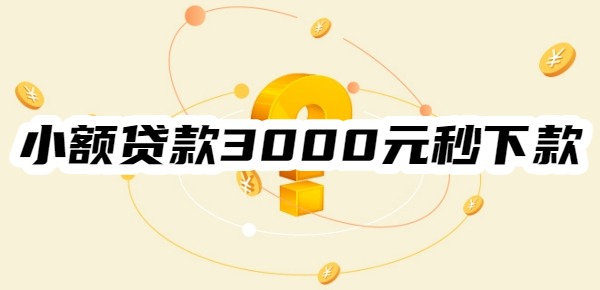 小额贷款3000元秒下款