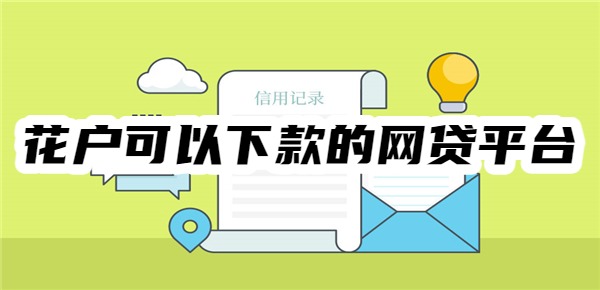 十大花户可以下款的网贷平台