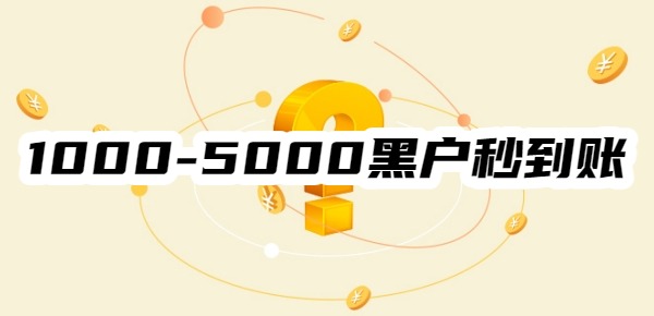 1000-5000黑户秒到账