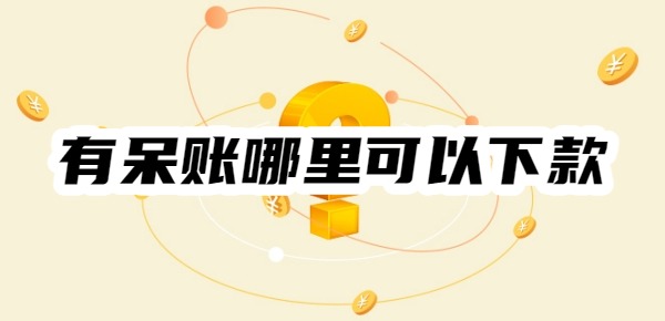 有呆账哪里可以下款