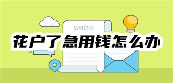花户了急用钱怎么办