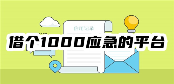 借个1000应急的平台