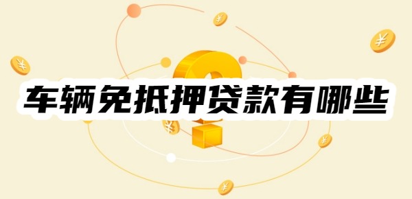 车辆免抵押贷款有哪些