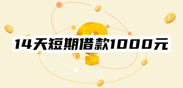 14天短期借款1000元