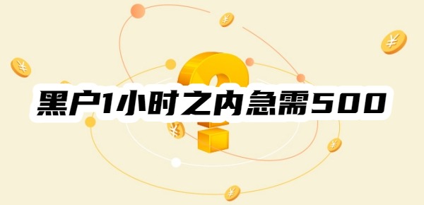 黑户1小时之内急需500