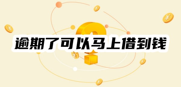 逾期了哪个平台可以马上借到钱呢