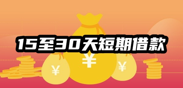 15至30天短期借款