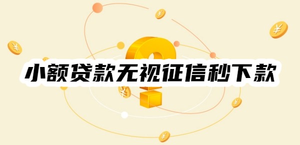 小额贷款无视征信秒下款