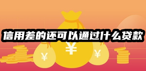 信用差的还可以通过什么贷款