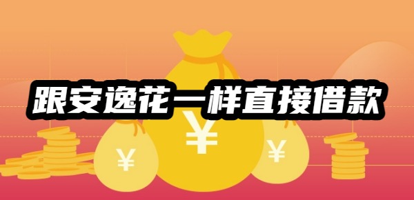 跟安逸花一样直接借款的平台