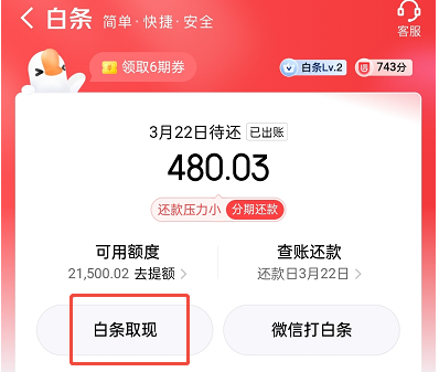 京东白条怎么借钱出来